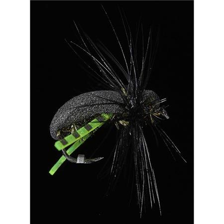 Muchy Jmc Terrestre Jmc 44