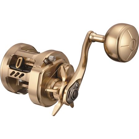 Mulinet Casting Daiwa Basara 21