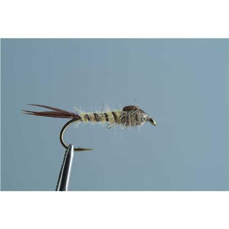 Μύγα Tof Νύμφη Mayfly