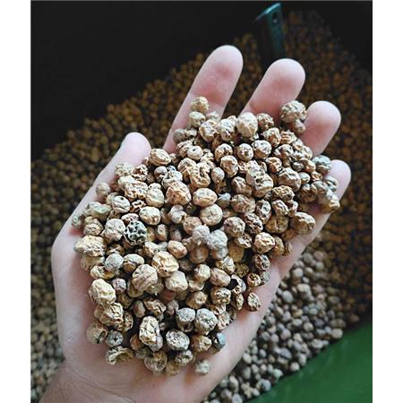 Nasiona Suche Tigernuts Standard - 10Kg