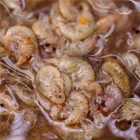NATUURLIJK VLOEIBAAR LOKSTOF NASHBAIT BRINE SHRIMP & GAMMARUS