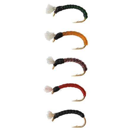 Noga Stucki Fishing Spiralées