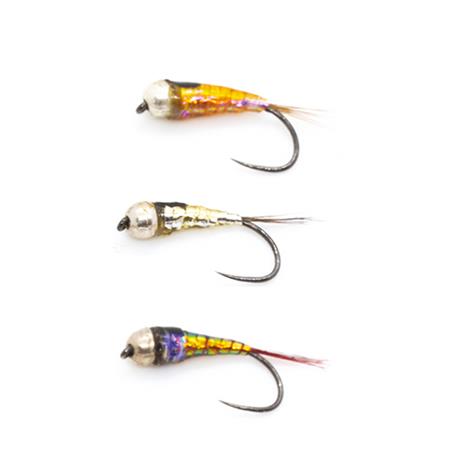 Nymphe Sempe Perdigone Holo