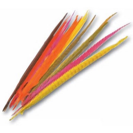 Ogon Bażanta Teal Jmc