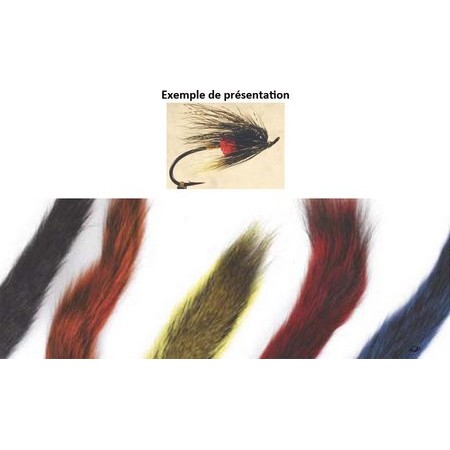 Ogon Wiewiórki Tof Kompletny