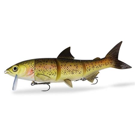 Οπλισμένο Μαλακό Δόλωμα Fishing Ghost Renky One - 25Εκ