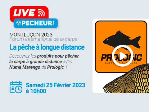 Montluçon 2023 - La pêche à longue distance avec Numa Marengo de Prologic