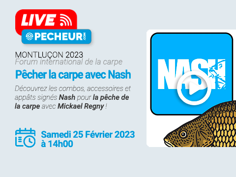 Montluçon 2023 - La pêche de la carpe de Mickael Regny de Nash