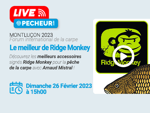 Montluçon 2023 - La gamme d'accessoires Ridge Monkey avec Arnaud Mistral