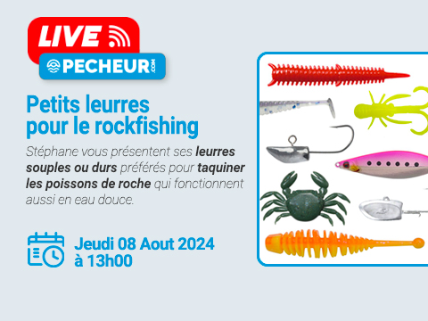 Les leurres pour le rockfishing