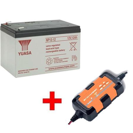 Pack Batterie Sondeur + Chargeur Automatique