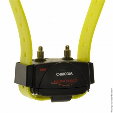 PACK COMPLETO NUMAXES CANICOM 1500 2 CHIENS