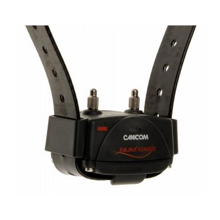 PACK COMPLETO NUMAXES CANICOM 800 2 CHIENS