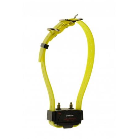 PACK COMPLETO NUMAXES CANICOM 800 2 CHIENS