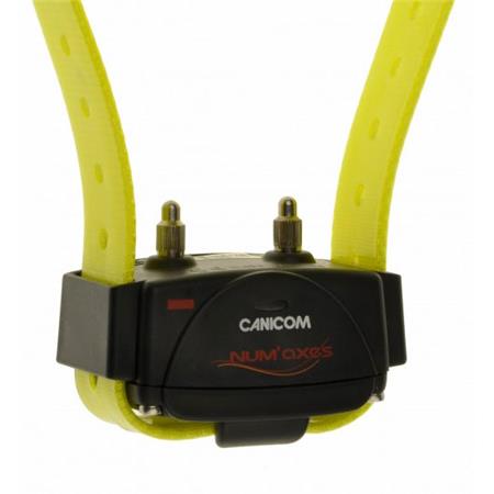 PACK COMPLETO NUMAXES CANICOM 800 2 CHIENS