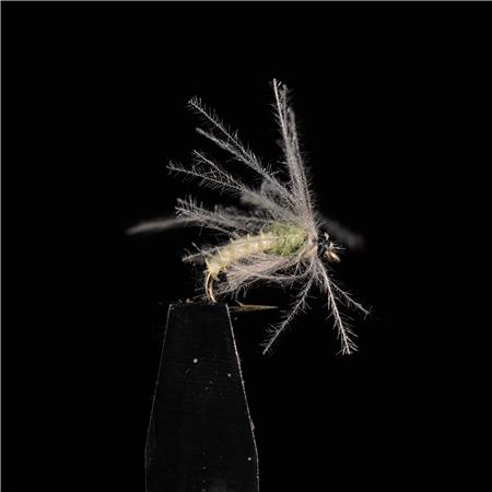 Pack Mit 3 Fliegen Jmc Sedges Grüner Hinterteil