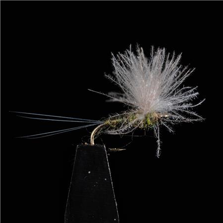 Pack Of 3 Flies Jmc Emergentes Jmc 21