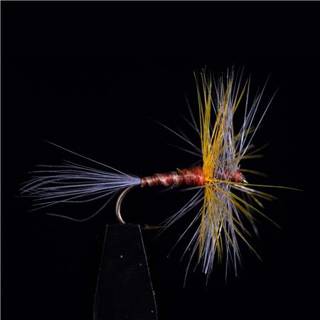 Pack Of 3 Flies Jmc Ephemeres Jmc 601