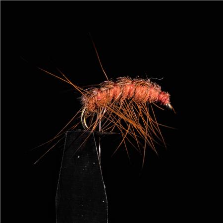 Pack Of 3 Flies Jmc Nymphes Bm 22