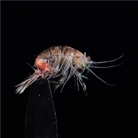 Pack Of 3 Flies Jmc Nymphes Jc 133