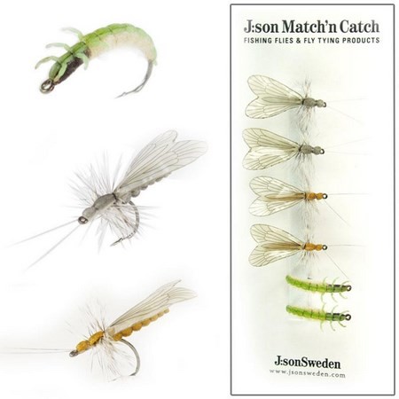 Pak Van 6 Vliegen J:Son Match’N Catch Caddis Large