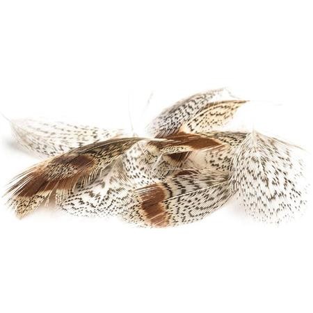 Partridge Feathers Devaux Dvx