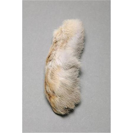 PATA DE LEÃO FLY SCENE SNOWSHOE RABBIT