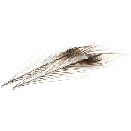 Peacock Quill Devaux