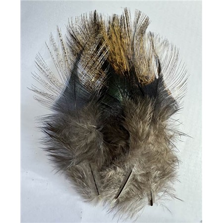 Pelles Pardo Vesuna Grade 1