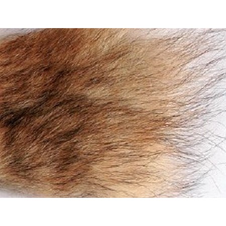 Pelos De Coiote Jmc