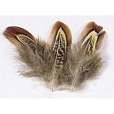 Pheasant Feather Jmc