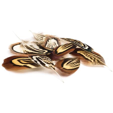 Pióra Bażanta Devaux