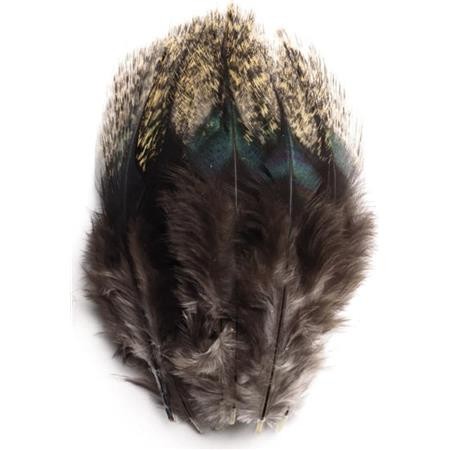 Pióra Koguta Pardo Devaux