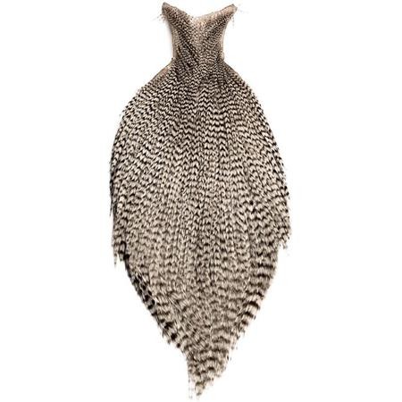 Pióra Szyi Koguta Devaux Dvx G3