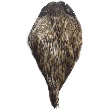 Pióra Szyi Koguta Devaux Dvx Top Grade Barwione