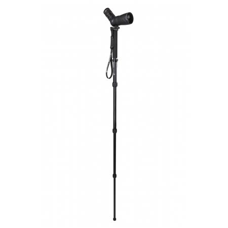 Pirsch Stick Celestron Pour Longue Vue Hummingbird