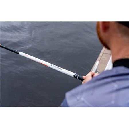 PISKESTANG GURU AVENTUS ZERO 600 SYSTEM WHIP