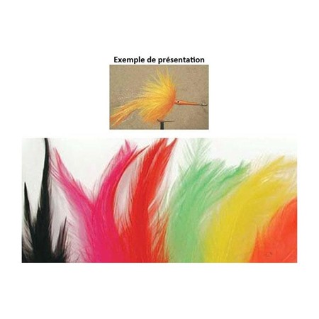 PIUMA DI GALLO TOF HACKLE STREAM COURT
