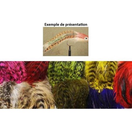 Piuma Di Gallo Tof Hackle Stream Grizzly