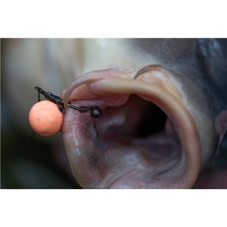 PLOMB CARPE POLE POSITION TUNGSTA HOOK SHOT