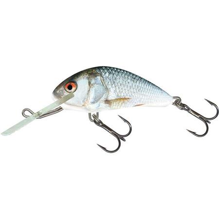 Πλωτό Τεχνητό Δόλωμα Salmo Hornet Floating - 6Cm