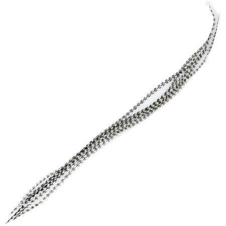 Pluma De Gallo Jmc Top Grade Mdc