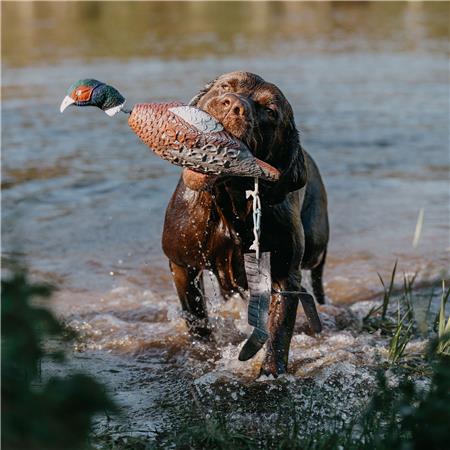PORTÁTIL EUROHUNT FAISAN HP&G