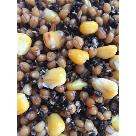 Prepared Seed Mosella Mix 1 - Melange De Graines