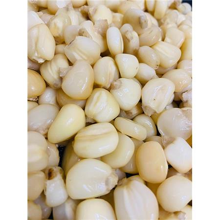 Prepared Seeds Poseidon Particles Giant Maize