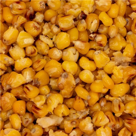 PREPARED SEEDS POSEIDON PARTICLES MAÏS