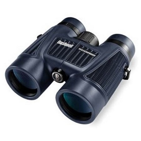 Prismáticos 10X42 Bushnell H2o Prisme En Toit