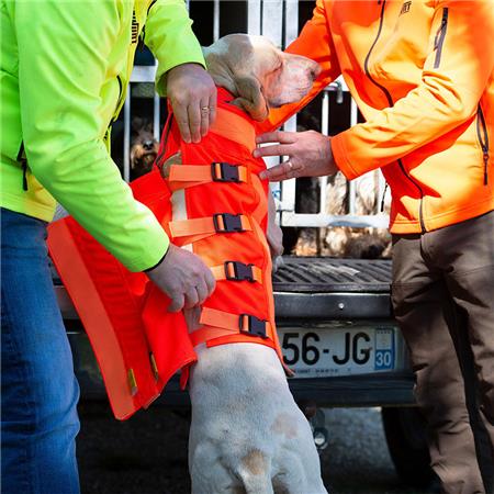 PROTECTION VEST CANIHUNT DOG ARMOR ORANGE V3
