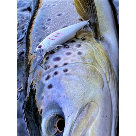 PRZYNĘTA TONĄCA STUCKI FISHING FANATICS QUARRY 60FS - 6CM