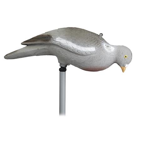 Reclamo Stepland Pigeon Picoreur Sans Patte